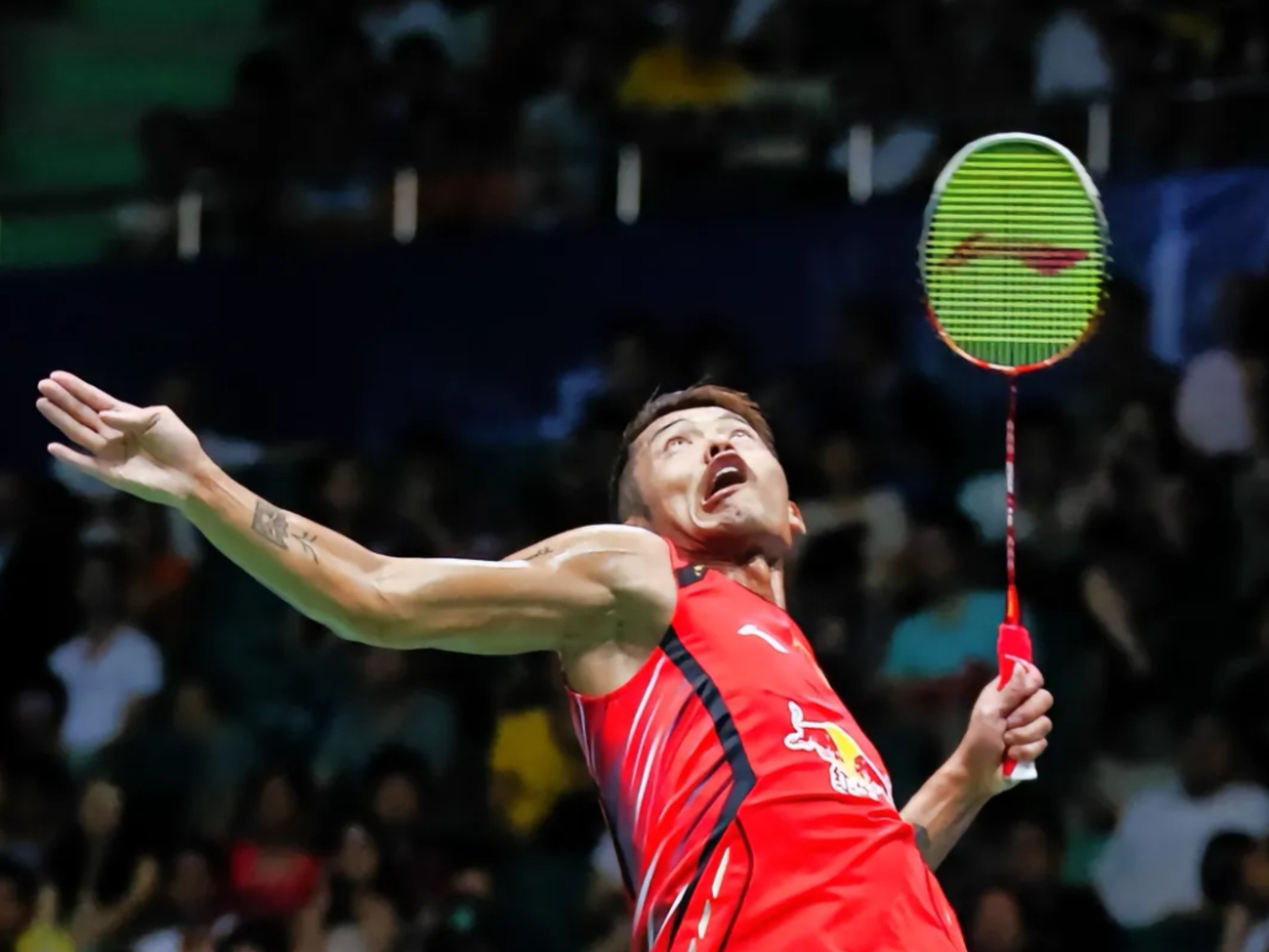 法国羽毛球队力克马来西亚羽毛球队，林丹惊艳世界的简单介绍