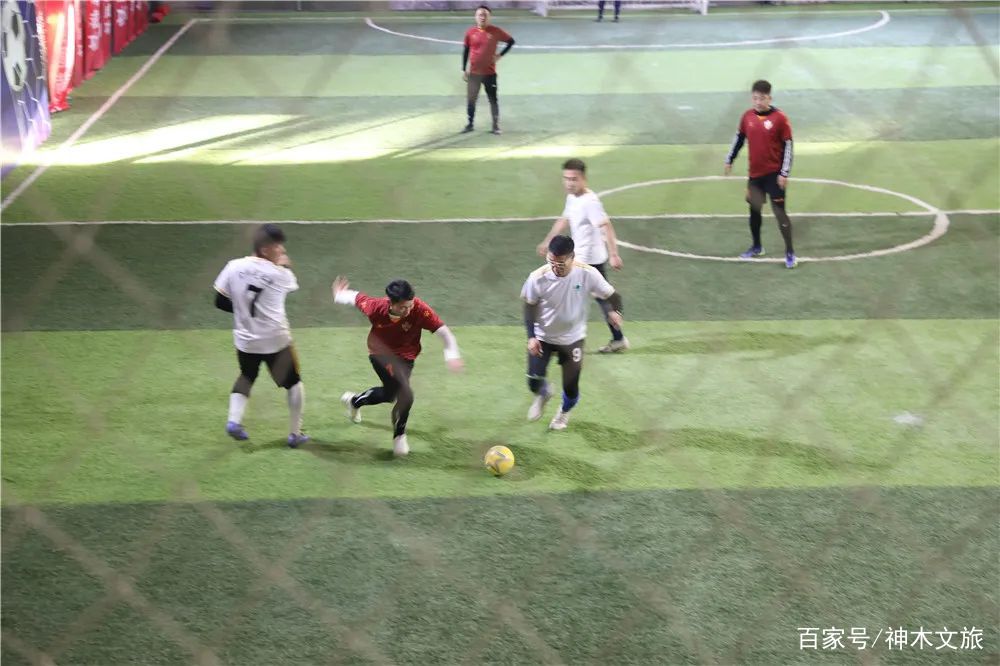 大洋洲代表队在激烈比拼中脱颖而出的简单介绍 大洋洲代表队在激烈比拼中脱颖而出的简单介绍