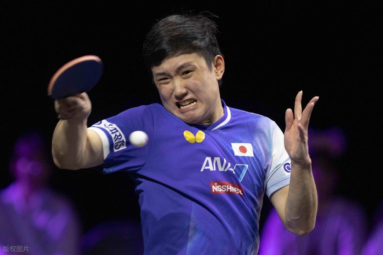 包含瑞典队翻盘日本队,张本智和高光表现的词条 包含瑞典队翻盘日本队,张本智和高光表现的词条