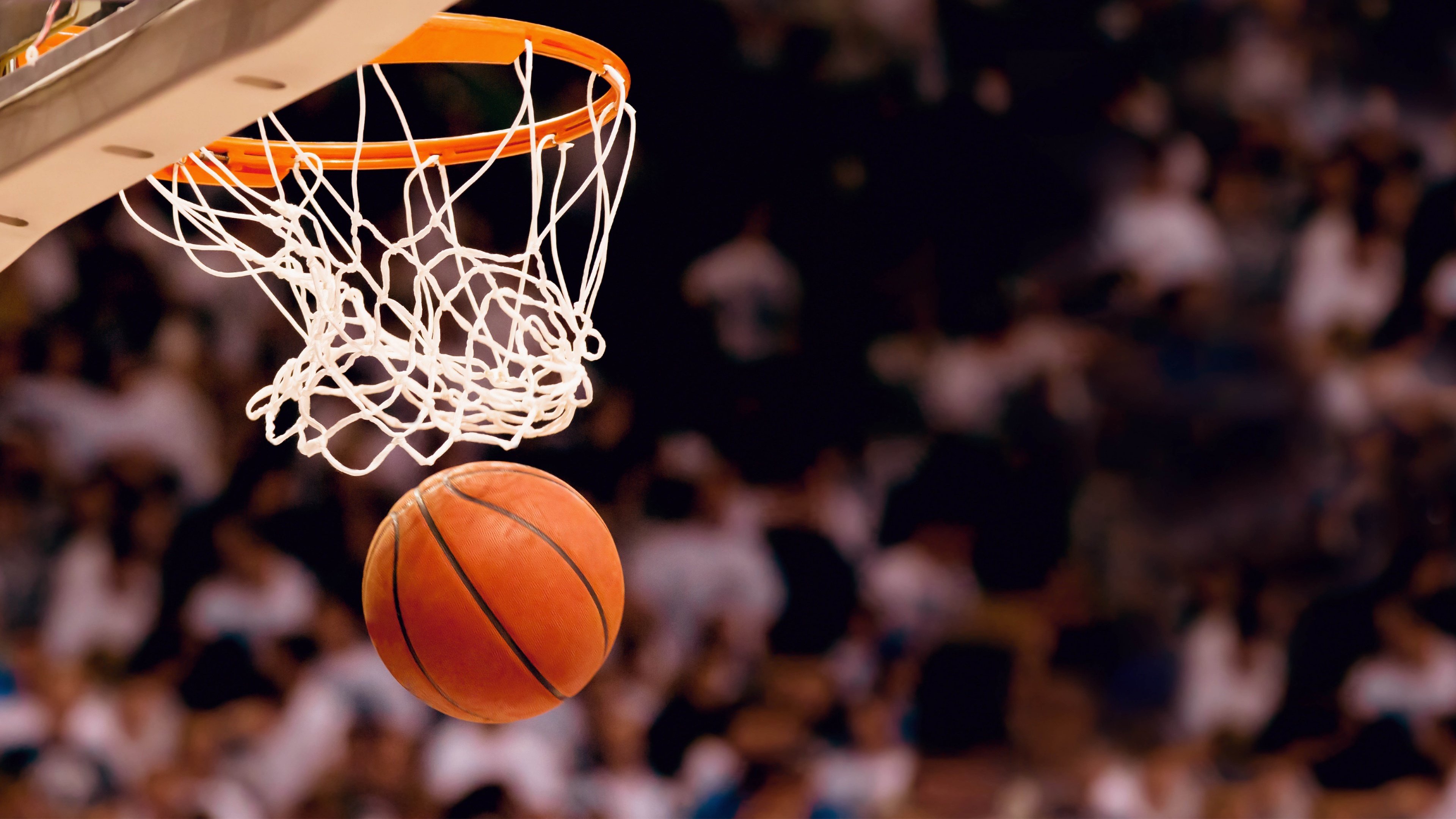 NBA季后赛焦点战,太阳如何打穿辽宁队?一场跨次元的篮球幻想